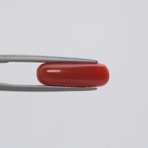 Red Coral - 142
