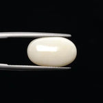 Fire Opal - 681