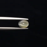 Cats Eye - 863