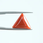 Red Coral - 1403