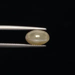 Cats Eye - 3373