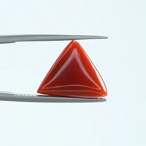 Red Coral - 1399