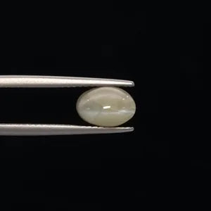 Cats Eye - 3387