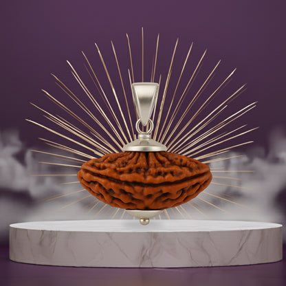 2 Mukhi Rudraksha Pendant- Indian