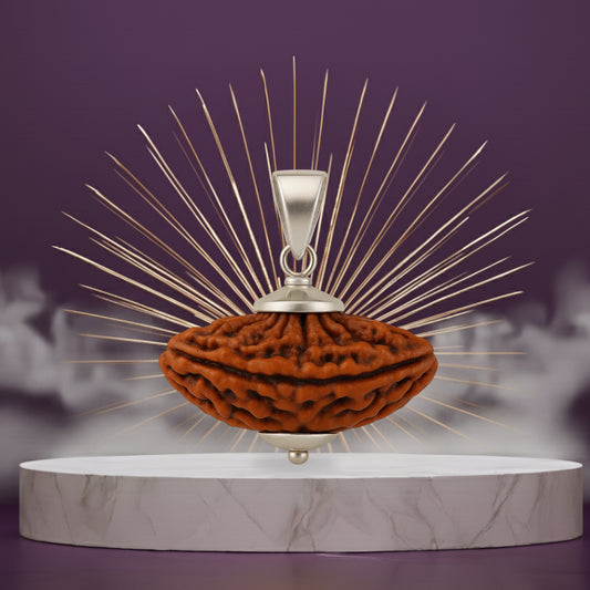 2 Mukhi Rudraksha Pendant- Indian