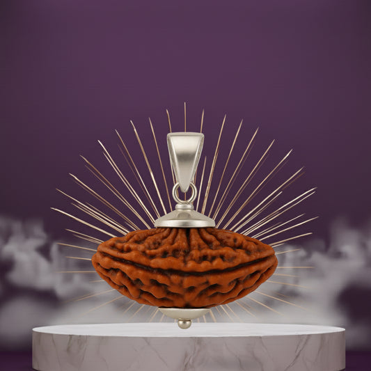 2 Mukhi Rudraksha Pendant- Indian