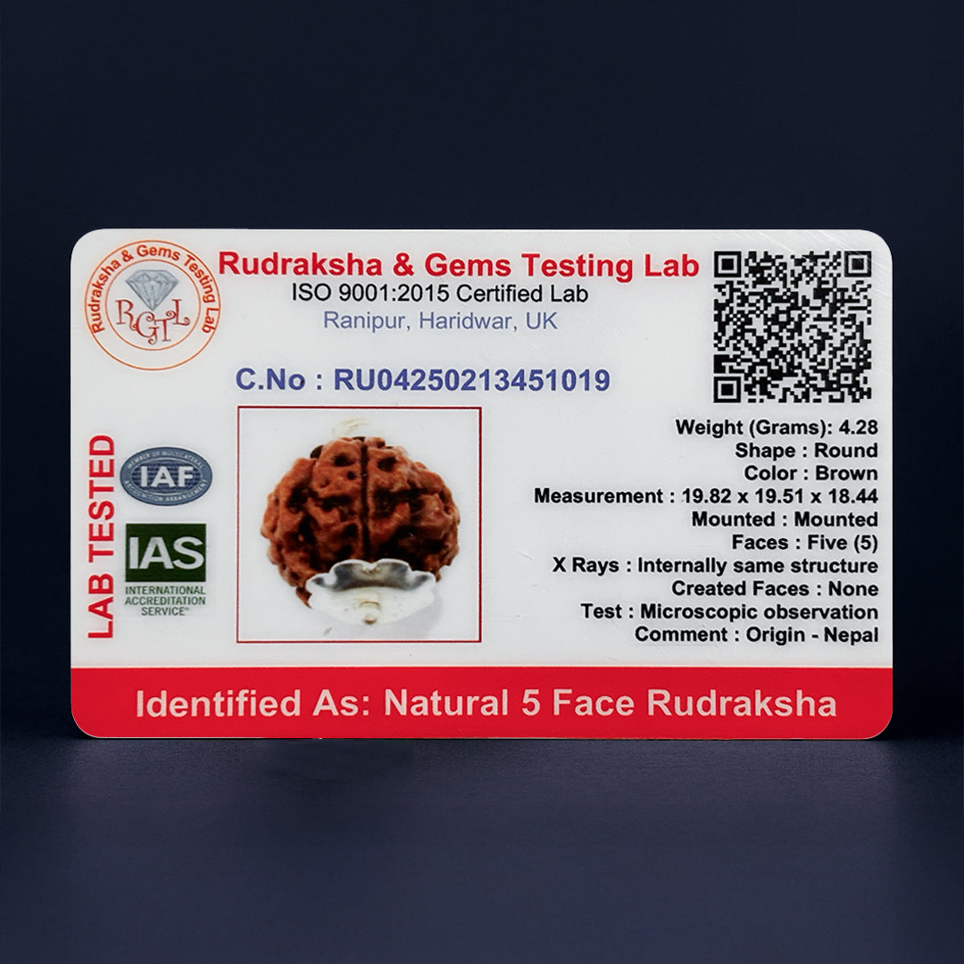 5 Mukhi Rudraksha | Energized at the sacred Omkareshwar Jyotirlinga 🔱