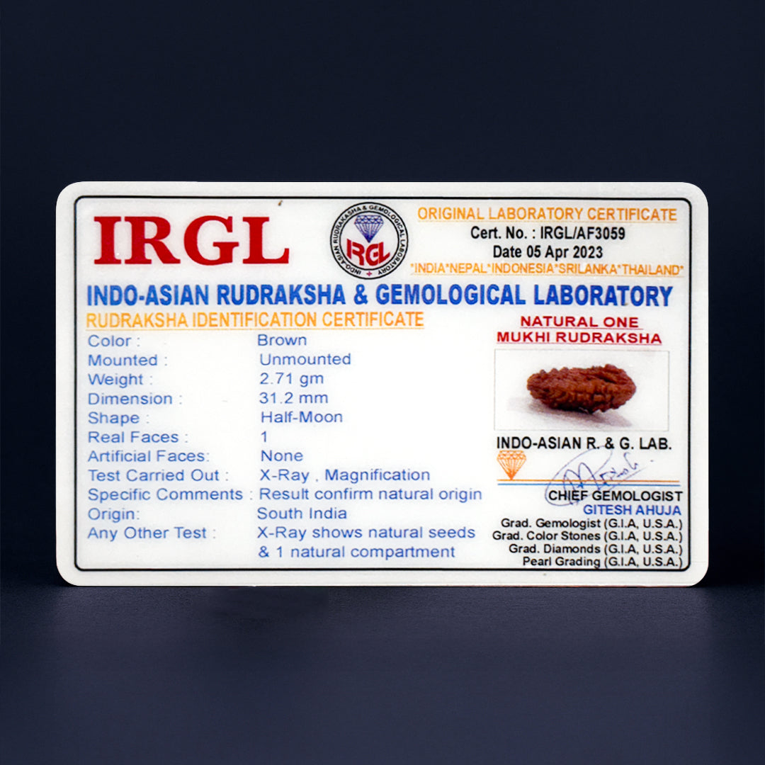 1 Mukhi Rudraksha - Spiritual Awakening