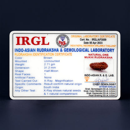 1 Mukhi Rudraksha - Spiritual Awakening