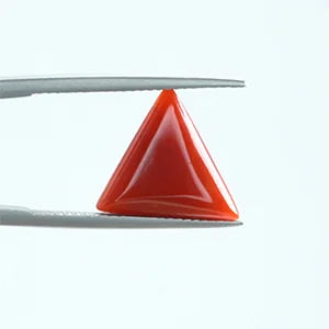 Red Coral - 1408