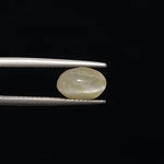 Cats Eye - 803