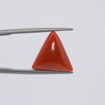 Red Coral - 3673