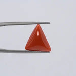 Red Coral - 3635