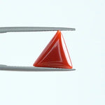 Red Coral - 1392