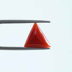 Red Coral - 1389