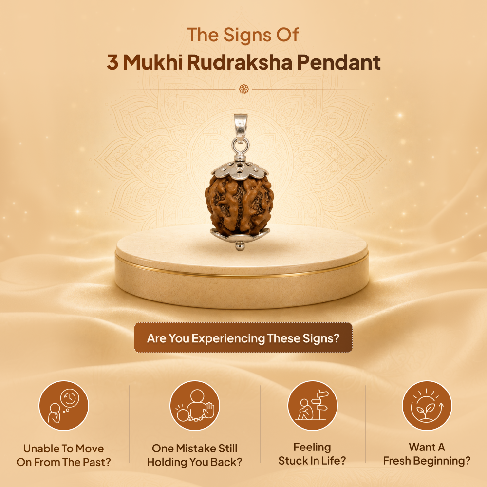3 Mukhi Rudraksha Pendant- Nepali