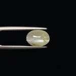 Cats Eye - 3356
