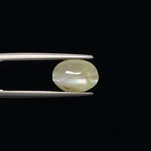 Cats Eye - 3356