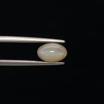 Cats Eye - 3379