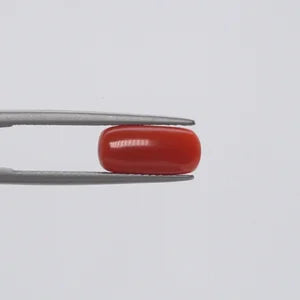 Red Coral - 130