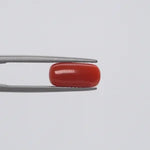 Red Coral - 130