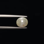 Cats Eye - 836