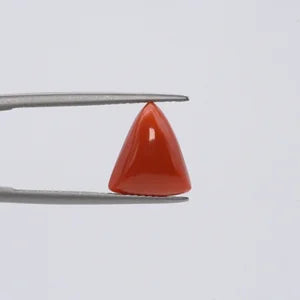 Red Coral - 3662
