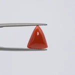 Red Coral - 3662