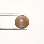 Cats Eye - 871