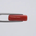 Red Coral - 1553