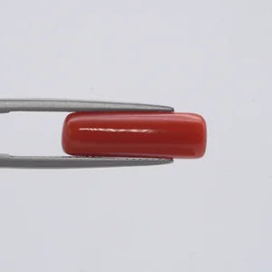 Red Coral - 1553