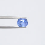 Blue Sapphire - 3729