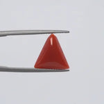 Red Coral - 324
