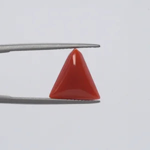 Red Coral - 324