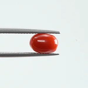 Red Coral - 343