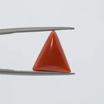Red Coral - 3638