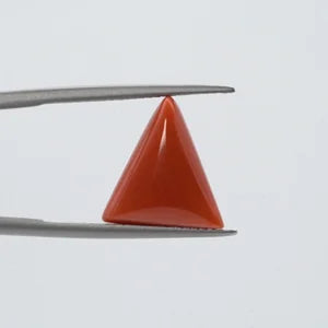 Red Coral - 3638