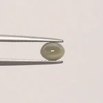 Cats Eye - 869