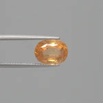 Hessonite - 3699