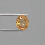 Hessonite - 3698