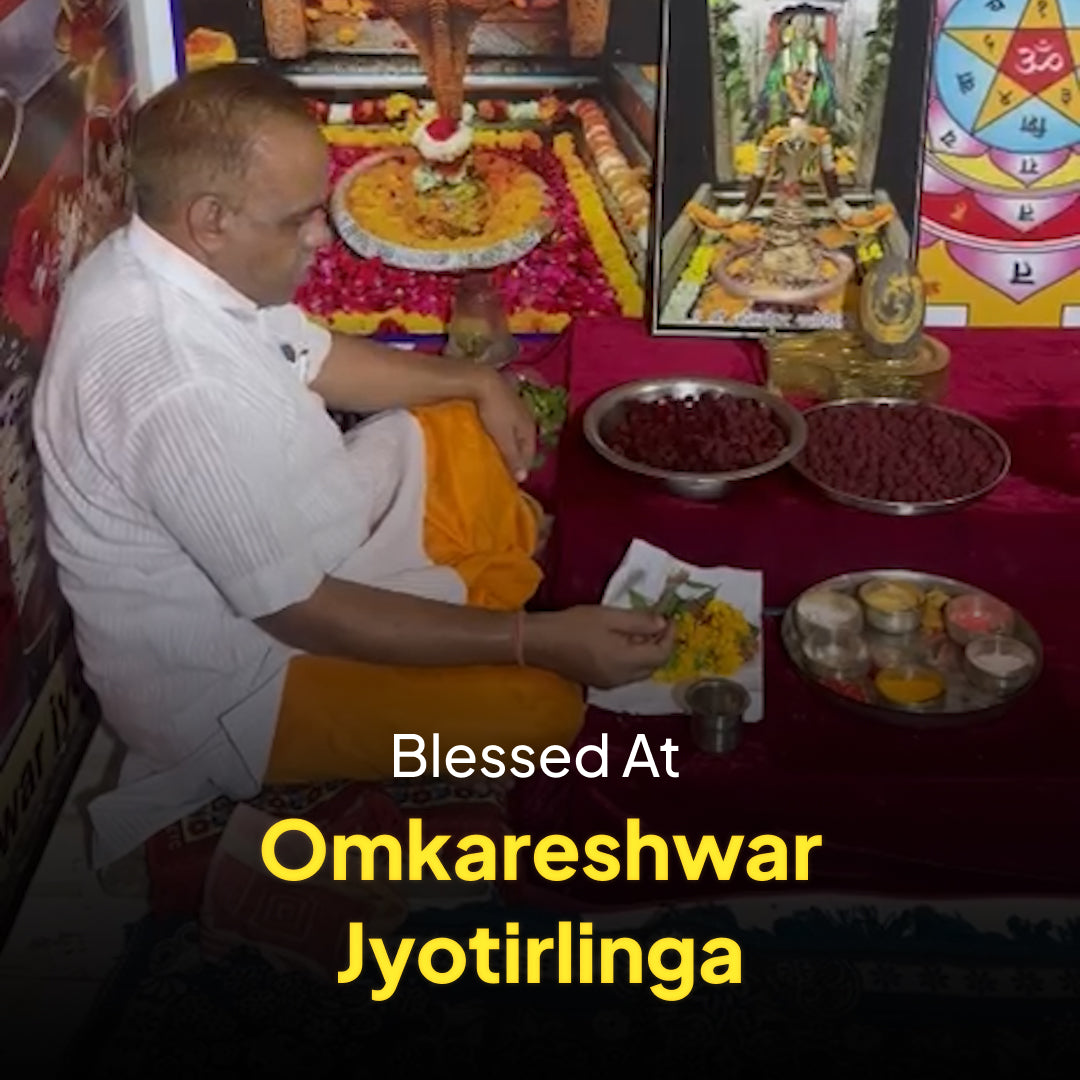 7 Mukhi Rudraksha | Energized at the sacred Omkareshwar Jyotirlinga 🔱