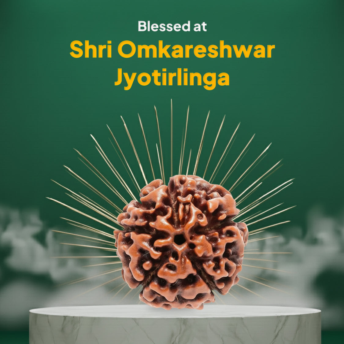 5 Mukhi Rudraksha - Nepali