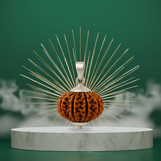 5 Mukhi Rudraksha Pendant- Nepali