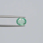 Emerald - 3793