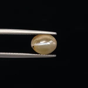 Cats Eye - 3389