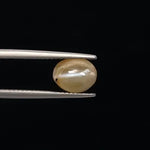 Cats Eye - 3389