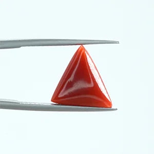 Red Coral - 1404