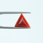 Red Coral - 1395