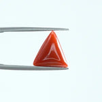 Red Coral - 1402