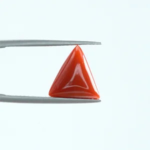 Red Coral - 1402